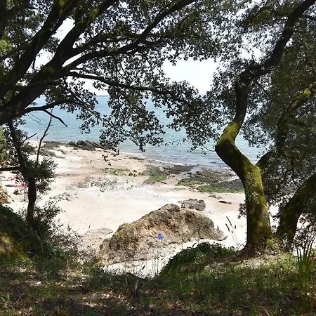 Le Coquelicot-t2, 100m De La Plage, Coeur Commando * سان نازير