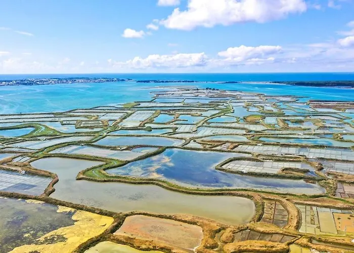 Le Coquelicot-t2, 100m De La Plage, Coeur Commando Apartment *