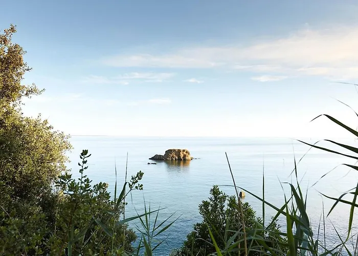 Le Coquelicot-t2, 100m De La Plage, Coeur Commando *